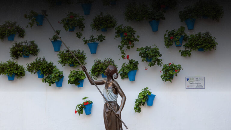 6-CORDOBA